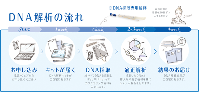 DNA解析の流れ
