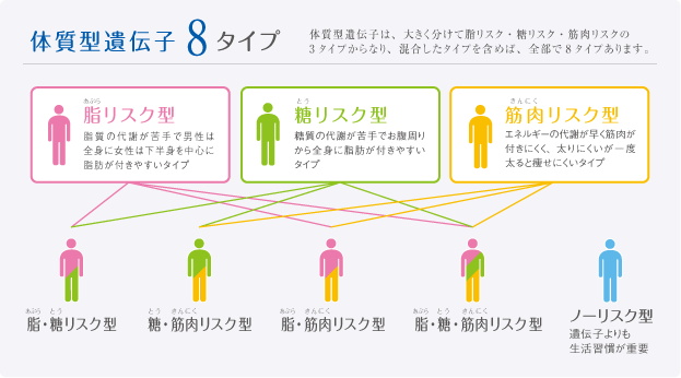 体質型遺伝子8タイプ