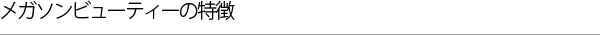 メガソンビューティーの特徴